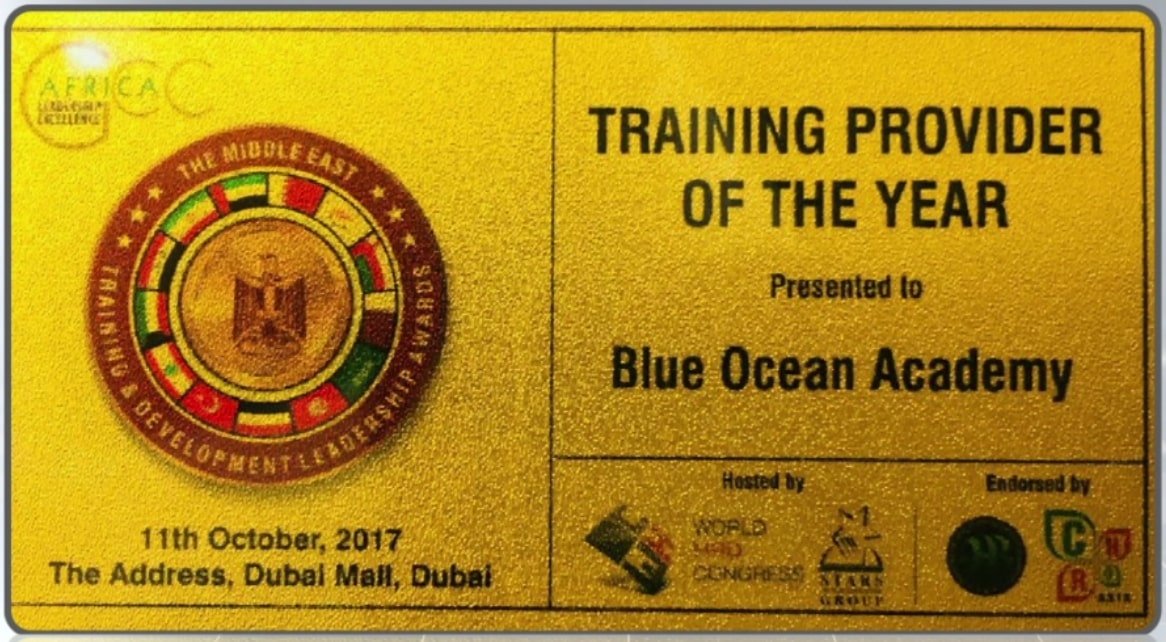 Training provider of the year