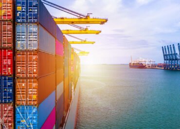 Strategies for Thriving Amidst Global Disruptions